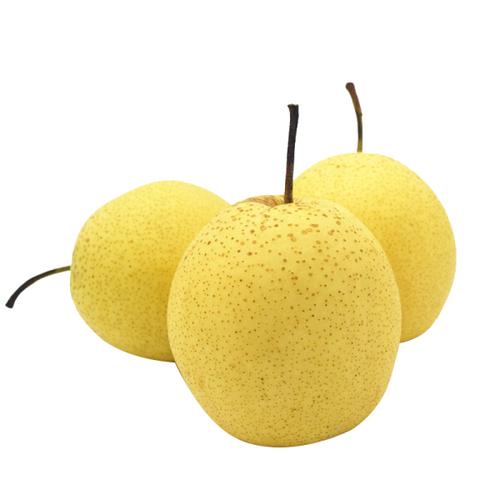 蔬菜配送公司納稅攻略：省稅不難！